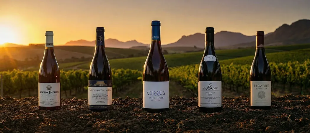 Pinot Noir — Wide Format